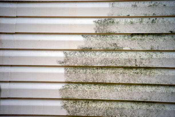 Best Construction Debris Removal  in Granby, MO